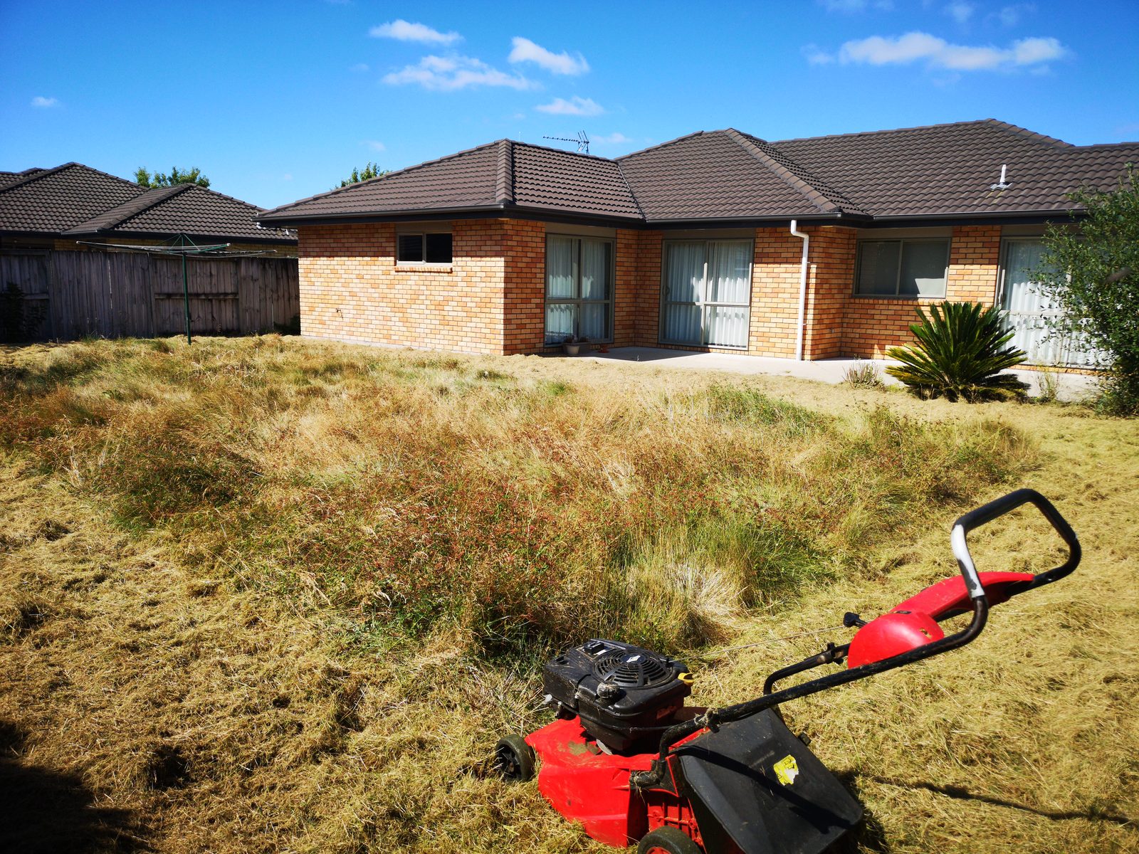 Overgrown section of long dry grass with a mower ready to start