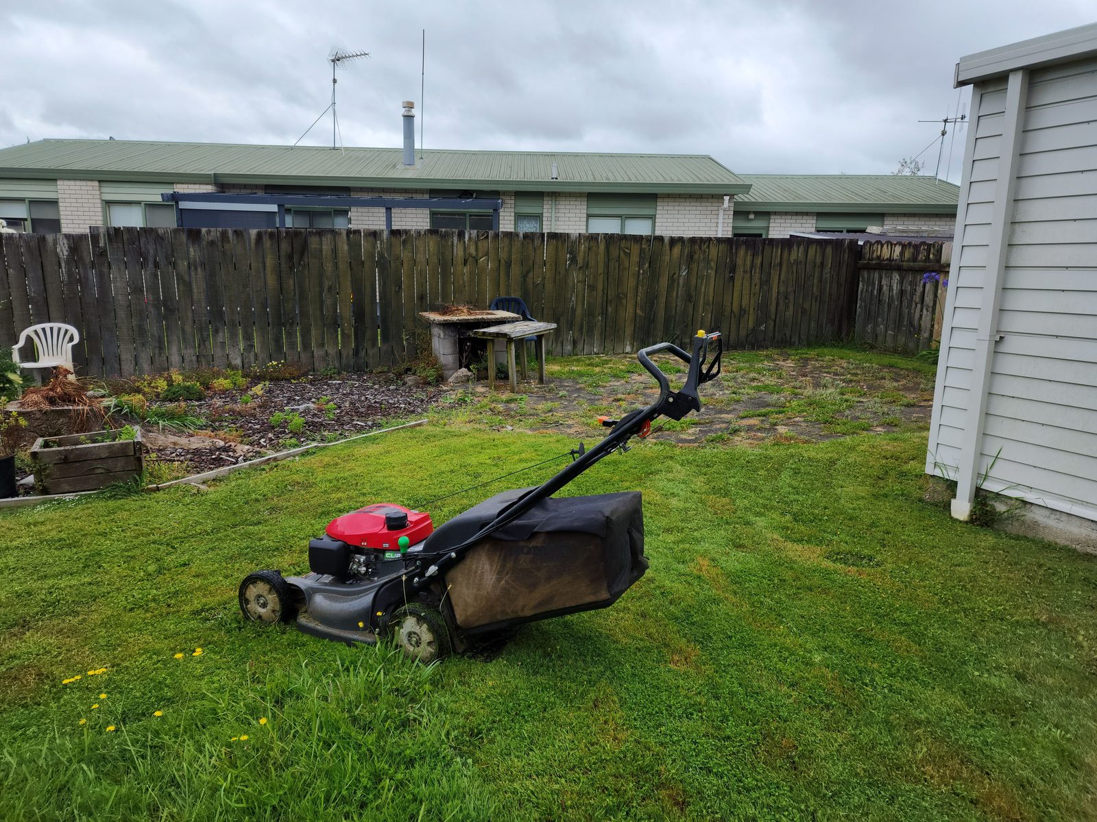 Push mower on a freshly cut back lawn