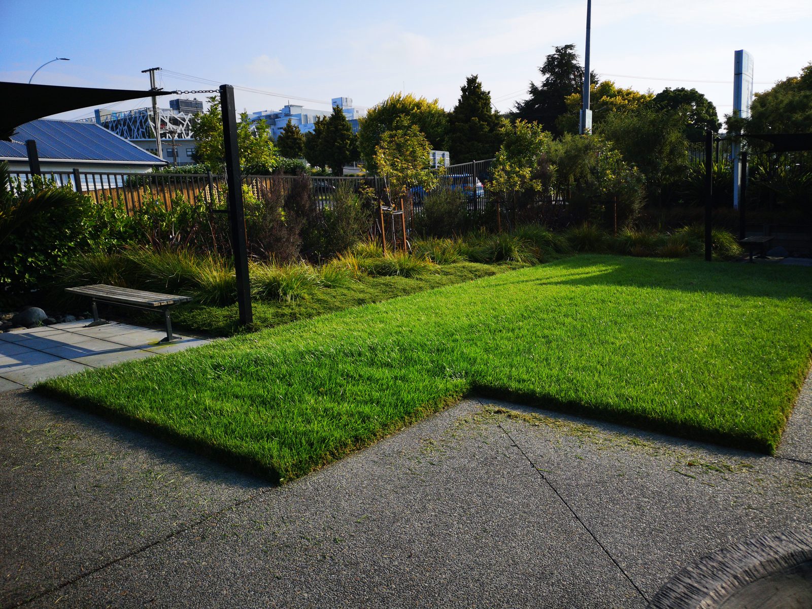 Tidy back lawn cut to a clean, even finish